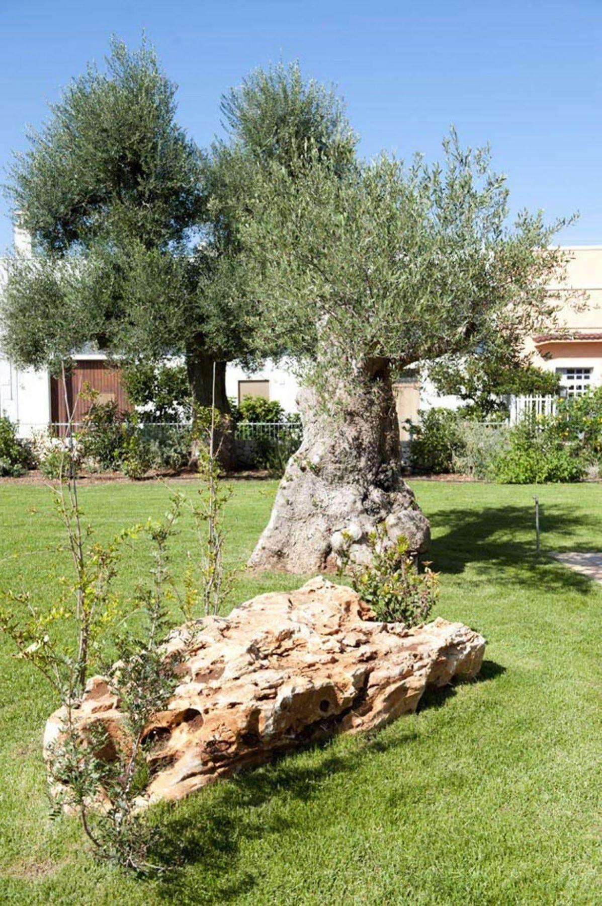 Donna Lucrezia Guest House Pezze Di Greco Exterior photo